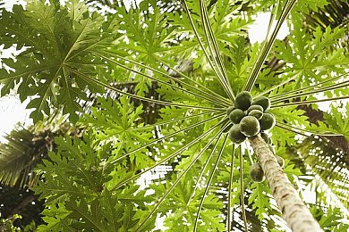 今日看料美好世界从今天开始:极限竞速地平线5,在墨西哥的广阔天地自由驰骋,开启你的驾驶传奇-3