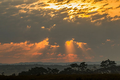 mdapp03：驰骋未来都市，亲手打造你的终极赛车王朝