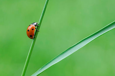 黄软件网站下载3.0.3免费：极速狂飙3.0.3免费上线，真实物理与全新经济系统颠覆手游竞速体验