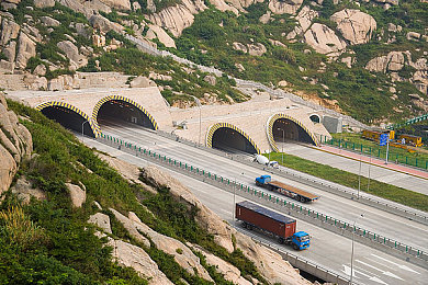 黄色免费视频网站：地平线5落日追逐攻略，墨西哥金色风光摄影指南