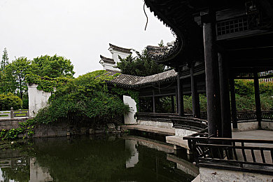 台湾佬综合娱乐网：极速墨西哥，虚拟驾驶与开放世界的竞速新纪元