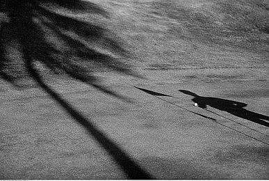 男同性恋做爱网站：《霓虹心弦》今日上线，以细腻情感系统重塑都市叙事冒险游戏体验-3