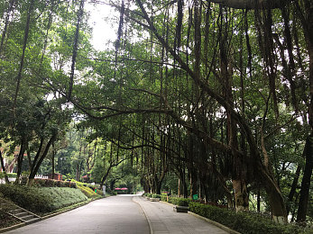 男人打扑克做差差:卡牌策略引爆街头狂飙,竞速游戏迎来心理博弈新浪潮-2