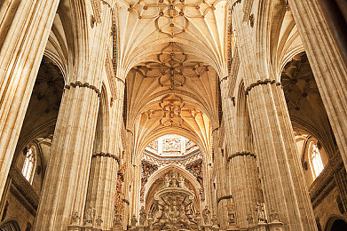 男生女生一起相差差差软件：双人竞速，差异协同的极致共舞