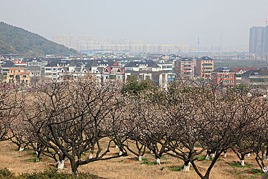体育生自慰出精：《极速精魂》今日上线，揭秘职业车手如何通过孤独训练实现技术突破
