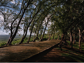 看b站24小时直播间免费吗：地平线5竞速秘籍，免费直播进阶攻略全解析