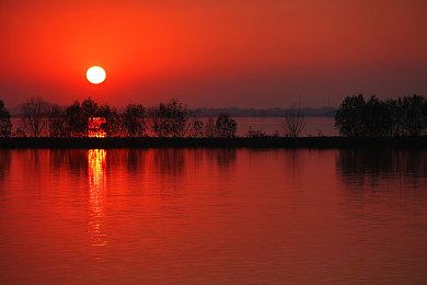 把香蕉放在桃子会怎么样：新游爆款深度测评，水果赛车道具组合引爆竞技狂欢-1