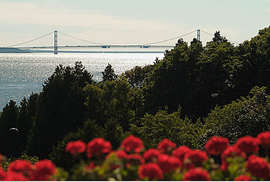 中国XDEVIOS中文免费版安装：都市赛道狂飙，免费畅享本土竞速新纪元-2