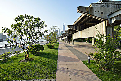 303黄色软件：虚拟入侵竞速新作发布，破解代码驾驭霓虹赛道