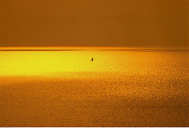 国产成人A V：烽火数字新作极速纪元发布，硬核模拟征服中国赛道-1