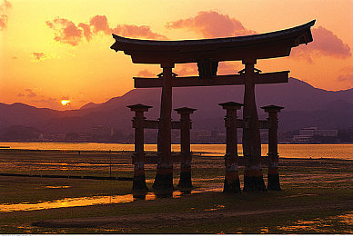 男生和女生一起差差差差：双人竞速新作极速搭档上线，差异协作引爆合作驾驶新潮流