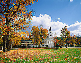 村妇树林日B：迷失乡野的古老契约与光影密语-2