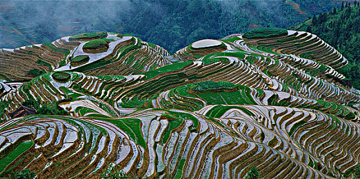 操级软件：顶级赛车游戏化身硬件试金石，你的配置能否通过终极考验-2