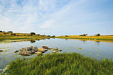 老中医SPA养生按摩推油：钢铁躯壳的经络调理，虚拟车库的深度疗愈之旅-2