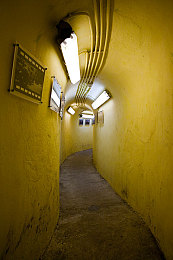 火影忍者18十变志版：疾风与机械交织，忍者世界开启全新竞速纪元