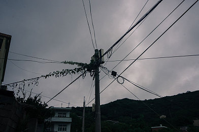 张丽大战黑人:弯道魅影与直线猛兽的终极竞速对决-2