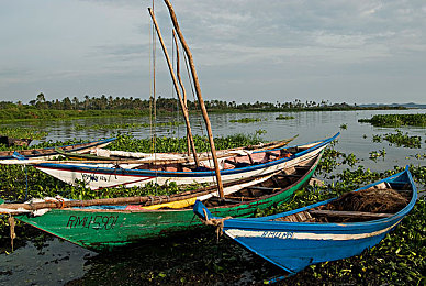 国产乱伦综合:血脉引擎,霓虹都市的家族竞速史诗-3