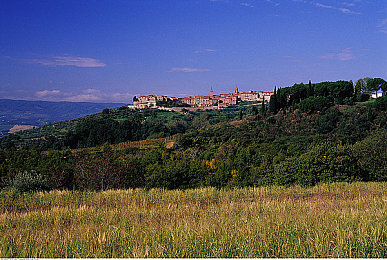 男人机机桶女人：钢铁之心，赛道争锋，改装竞技场-2