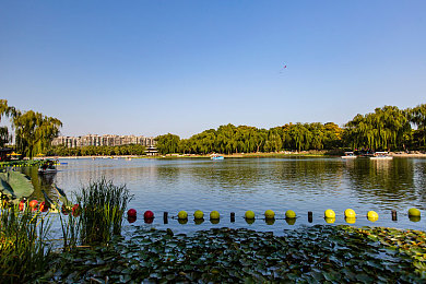 不用播放器免费AV:极限竞速地平线5今日上线,沉浸式驾驶体验墨西哥视听盛宴-2