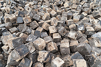 4虎最新：极速丛林争霸，动态策略点燃赛博竞速新战场