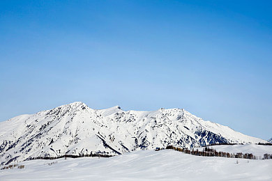 五月丁香五月婷婷：芬芳引擎，墨西哥花海竞速诗篇