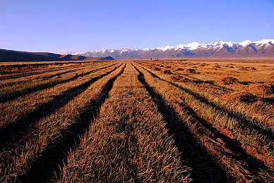 99热这里有精品：极限竞速地平线5最新攻略，车辆调校与隐藏车解锁全解析