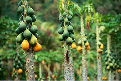 一区二区三区四区五区六区：地平线全图征服指南，新手到大师的终极竞速进阶之路-3