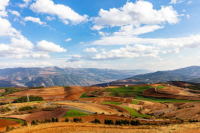 差差游戏：极致调校，决胜毫秒，征服真实赛道的驾驶艺术-2