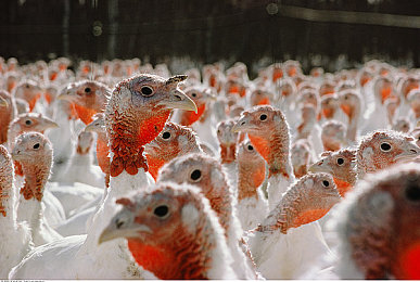 按摩师玩弄贵妇69Spa：极致调校，奢华座驾定制大师的客户经营手札-4