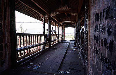 色多视屏：赛道视觉交响乐，信息洪流中的策略指挥家