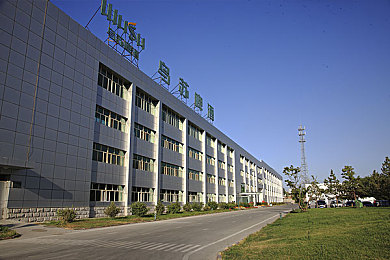 阿娇被吸啃黑森林高潮：暗黑女巫觉醒，能量森林试炼引爆近期游戏圈热议