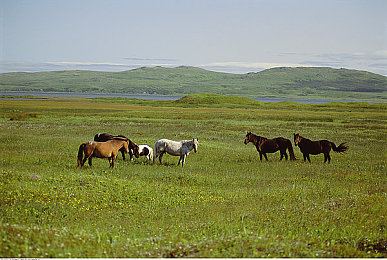 主播视频最新地域网名怎么取：极限竞速地平线5墨西哥文化竞速攻略，网名灵感与地形技巧全解析-2