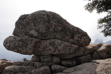 揉我：指尖感知路面，地平线驾驶体验全面革新