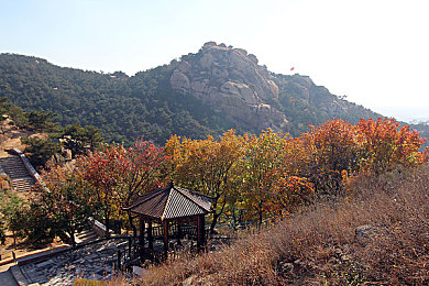 双人床上打扑克又疼又叫：极限竞速双人模式，默契配合与激烈碰撞的竞速之旅-1