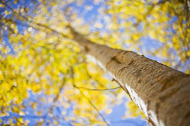 色成人:赛博竞速新作登场,光影穿梭中的道德抉择引发热议-2