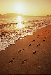 黄色平台：钠灯夜影，高架狂飙