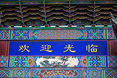 吃瓜网张津瑜：极速追缉，化身调查记者与街头车手，在霓虹都市中竞速揭露真相-1