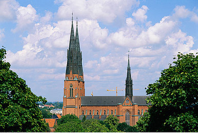 网址你懂我意思吧：极限竞速地平线5硬核改装指南，三步打造专属赛道猛兽-2