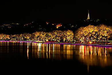 黄色大全下载OPPO：《极限竞速》玩家热议经典黄色涂装，个性赛车引领视觉风潮-3