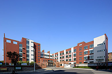 男同第一次开菊经历：极限竞速新征途，攻克连续弯道的驾驶艺术