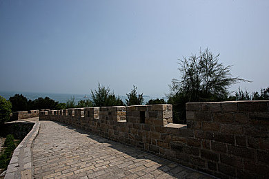 十大黄APP：竞速游戏潜规则揭秘，游走违规边缘的战术如何改变赛道对决-2