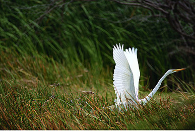 色综合色综：霓虹竞速新纪元，视觉策略驱动赛博狂飙