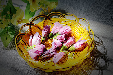 404软件：数据迷雾中的竞速，重构崩溃边缘的公路诗篇