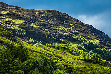 18大黄色应用：竞速新作今日上线，黄金涂装车队与隐藏赛道全解析