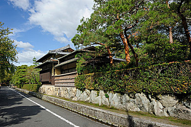 男女差差差差app：极速双生，差异策略竞速之旅-3