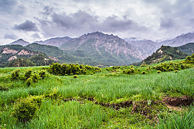 男女插插软件免费：双人协同驾驶新游免费上线，极致默契引爆竞速热潮-2