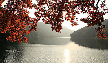 口述3p全过程：墨西哥狂飙，三车编织的战术交响曲