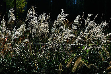 日批发软件下载免费安装：虚拟物流帝国，从方向盘到商业版图的征服之路