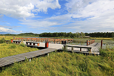 国产精品按摩：极速疗愈，赛道上的中式放松艺术-2