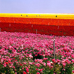 打扑克又叫又痛不盖被子怎么办：夜战双界，硬核竞速新作《扑克之夜：极限驾驶》登陆Steam，牌桌狂飙的双重试炼-2